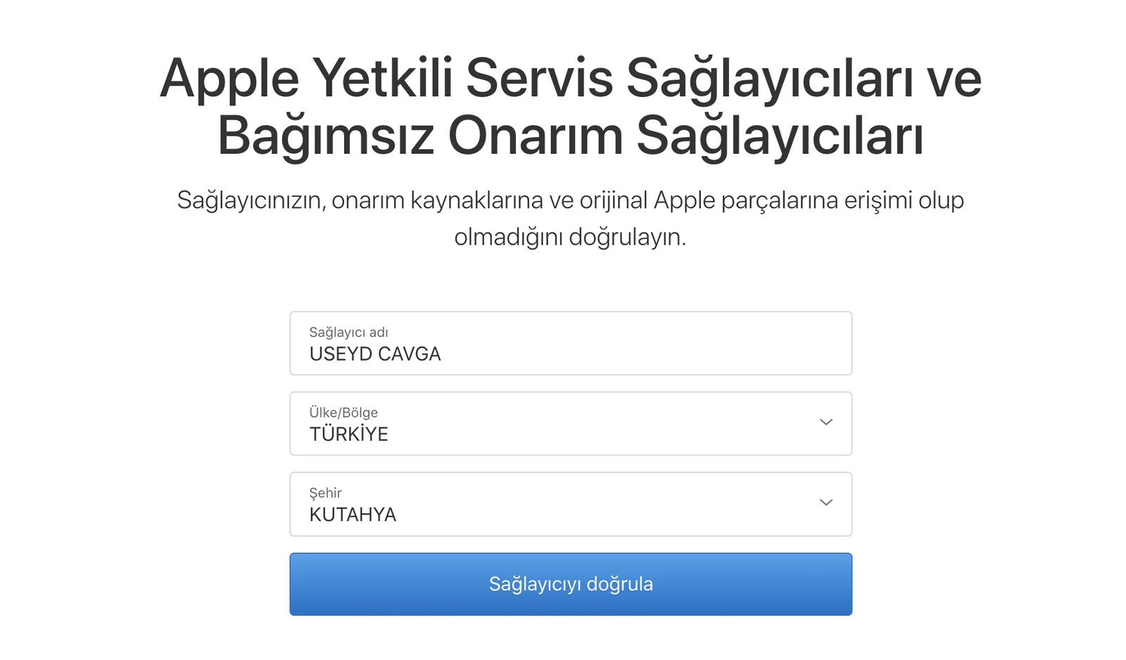 Sağlayıcı adı alanına USEYD CAVGA girilmiş doğrulama formu